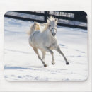 Search for galloping electronics Winter