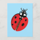 Search for red bug postcards Beetle
