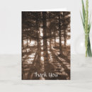 Search for light rays cards invites Sun