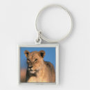 Search for panthera key rings Big cat