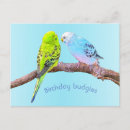 Search for budgie birthday cards Cute