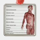 Search for human body part christmas tree decorations View