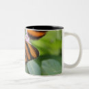 Search for natural selection mugs Nature