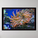 Search for tip art Ocean