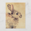 Search for rabbit painting postcards Cute