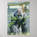 Search for snacking posters Nature