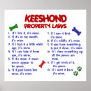 Search for keeshond posters Cute