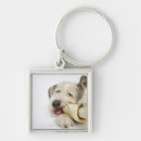 Search for bones key rings Horizontal