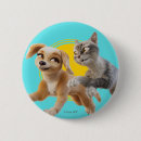 Search for cat rescue and badges Adventure