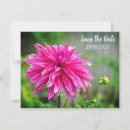 Search for blooms 4x5 invitations Garden