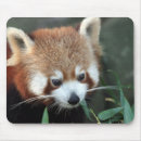 Search for zoo panda mouse mats Animal