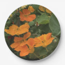 Search for 40th anniversary plates Couple