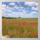 Search for poppy posters Meadow