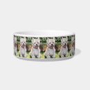 Search for westie dog bowls For pets