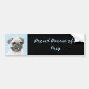 Search for pug bumper stickers Dog