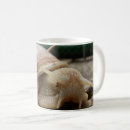 Search for gastropod mugs Animal