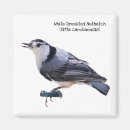 Search for breasted magnets Nature