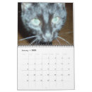 Search for black cat calendars Feline