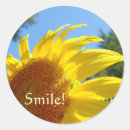 Search for smiling sunflower stickers Smile