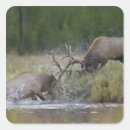 Search for np stickers Wyoming