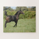 Search for beautiful horse puzzles Equestrian