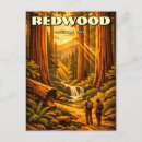 Search for redwood national park postcards Vintage