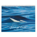 Search for killer orca Life