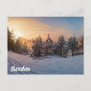 Search for frozen postcards Coast