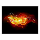 Search for peacock feather posters Black