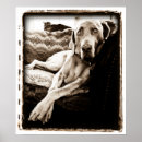 Search for dog on chair art Animal