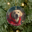 Search for yellow labrador christmas tree decorations Cute