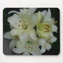 Search for lilly mouse mats Lillies