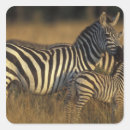 Search for game reserves stickers Animal