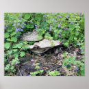 Search for purple mushrooms posters Nature