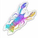 Search for rainbow fish stickers Fishing
