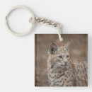 Search for bobcat key rings Big cat
