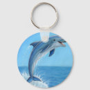 Search for silent key rings Animal