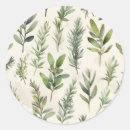 Search for thyme stickers Watercolor