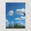 Search for blue cloud postcards Nature