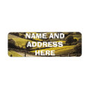 Search for tree postage Landscape