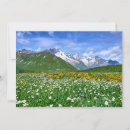 Search for mountain landscape thank you cards Wildflowers