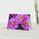 Search for full bloom cards Flowers