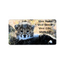 Search for africa return address labels Cheetah