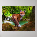 Search for vixen posters Animals