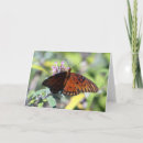 Search for choice cards Nature