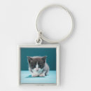 Search for vertical key rings Pets