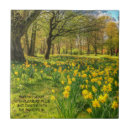 Search for daffodil quote White