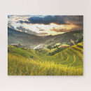Search for rice puzzles Vietnam
