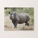 Search for rhino puzzles Photography