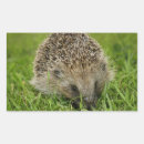 Search for feed the animals stickers Cute